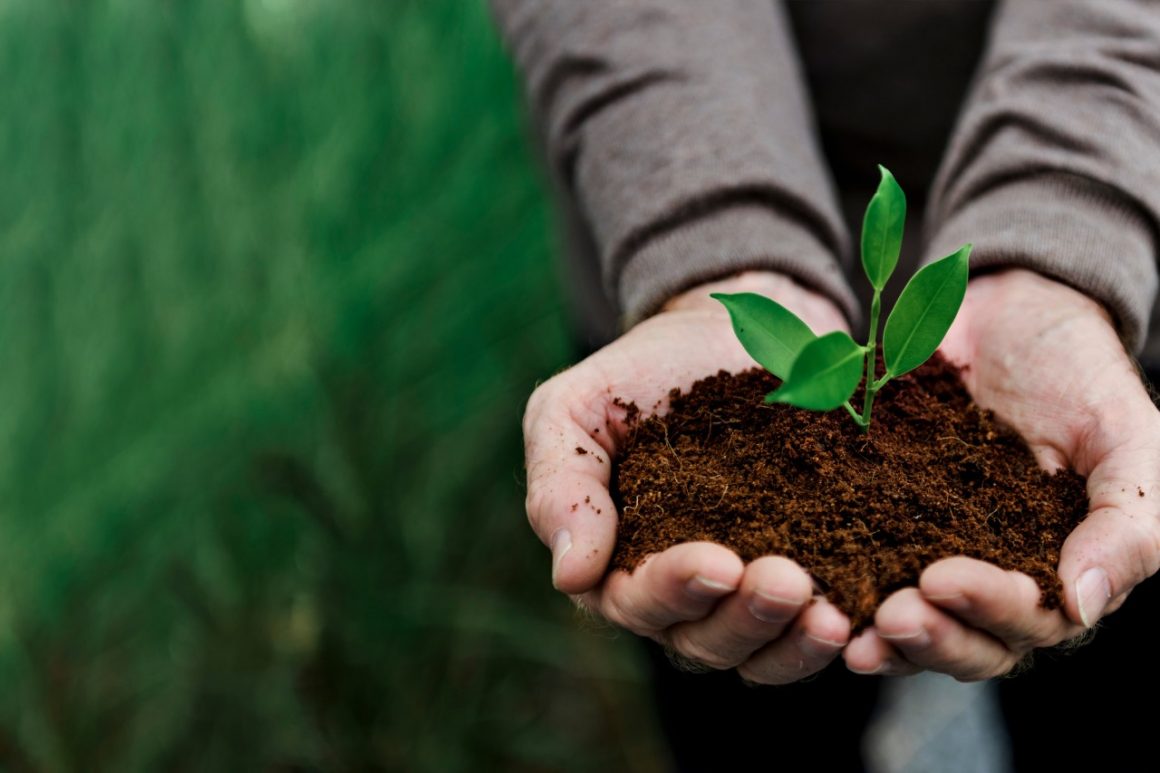 Compostagem Obrigatória: o Brasil Fica Atrás Novamente