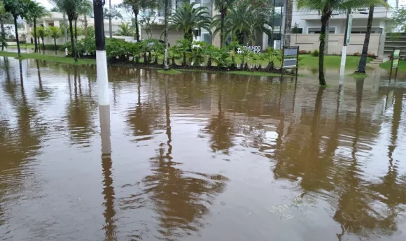 Guarujá Esponja: A Solução para Enchentes